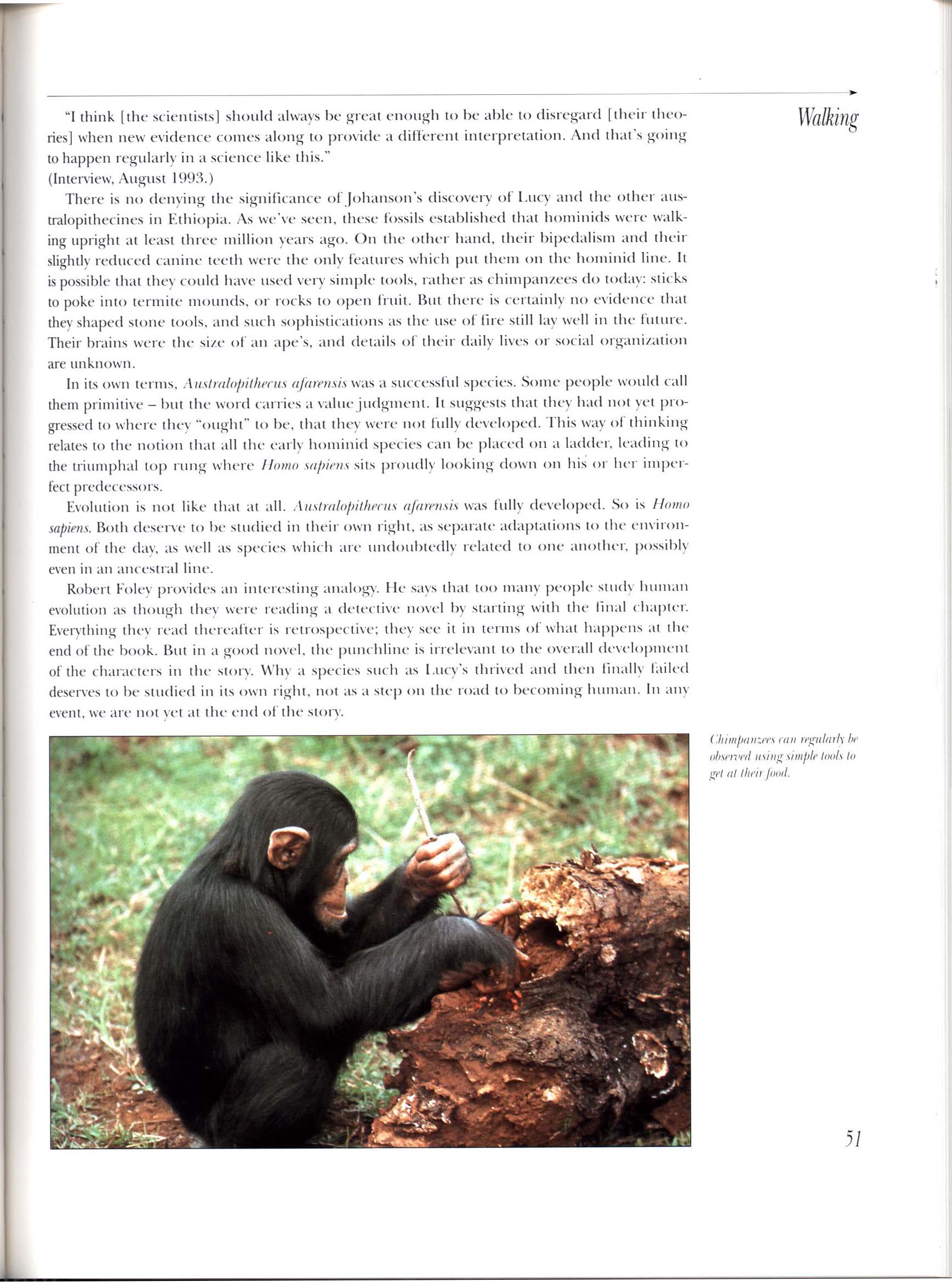 APE MAN: the story of human evolution. macm8533m